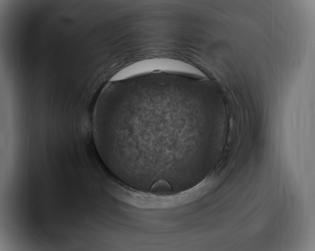 X0000093150048200710101144