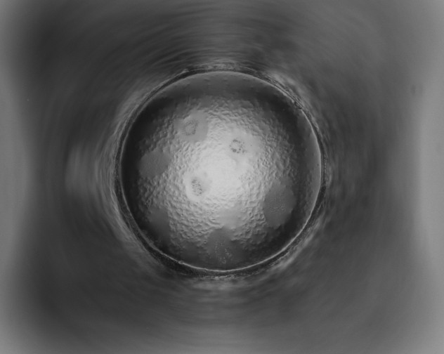 X0000093150049200710101143