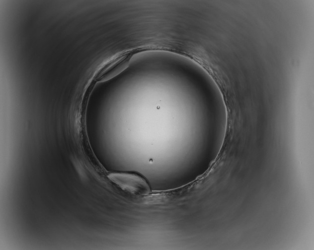 X0000093150050200710101143