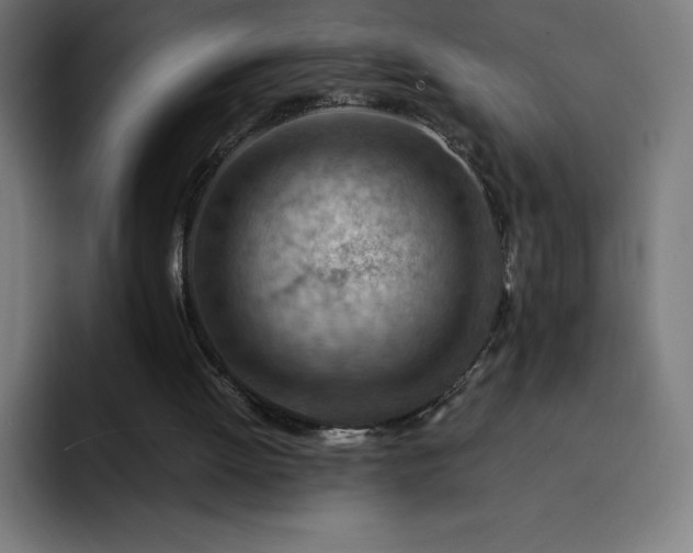 X0000093150052200710101143