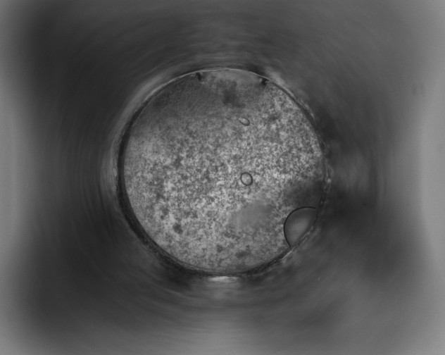 X0000093150053200710101143