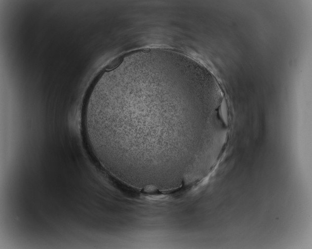 X0000093150055200710101143