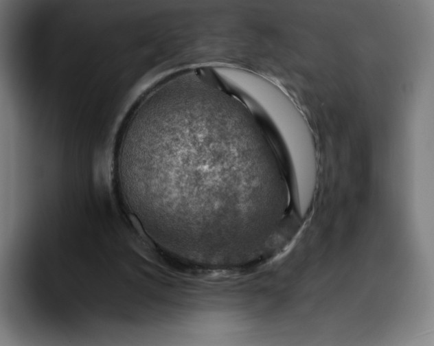 X0000093150056200710101143