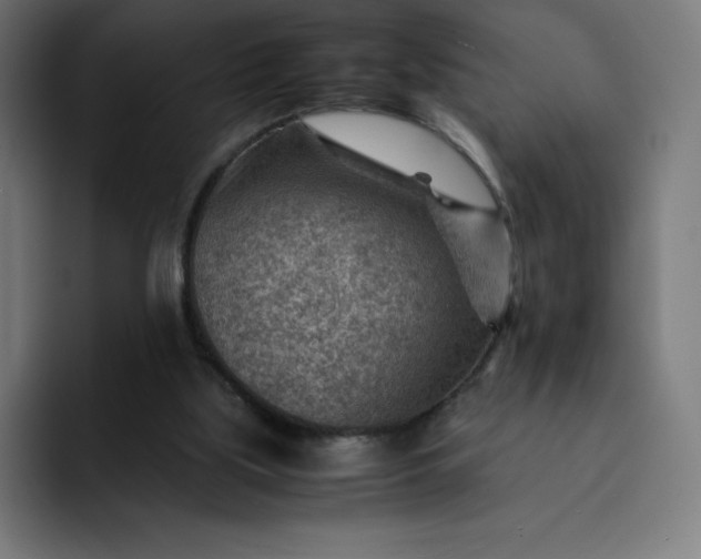 X0000093150059200710101143