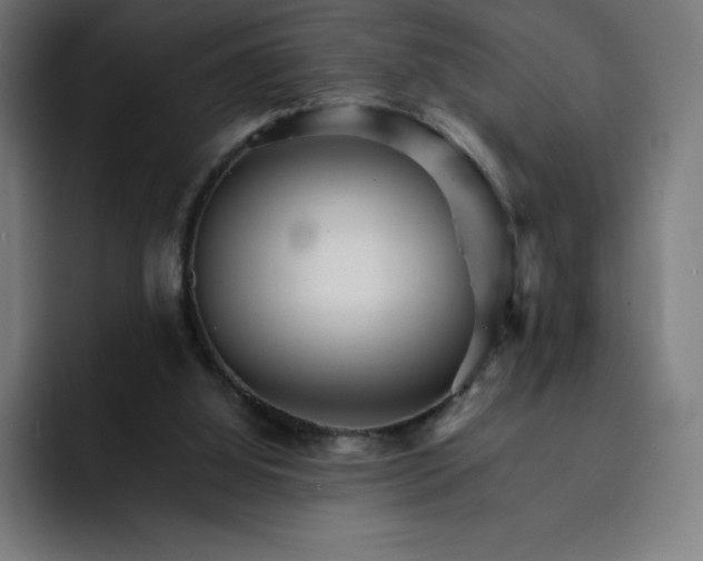 X0000093150060200710101143