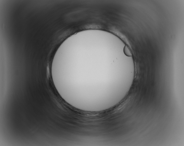 X0000093150061200710101143