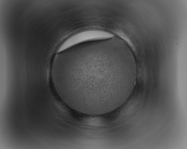 X0000093150063200710101143