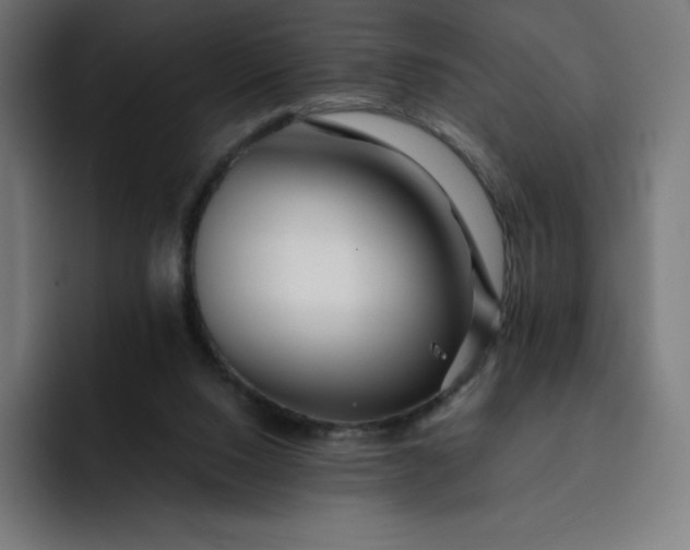 X0000093150064200710101143