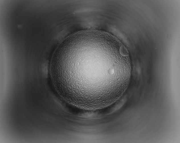 X0000093150065200710101143