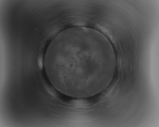 X0000093150069200710101143