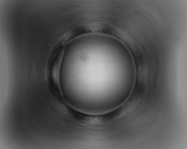 X0000093150073200710101143