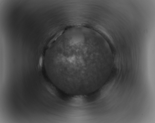 X0000093150076200710101143