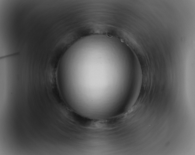 X0000093150078200710101143