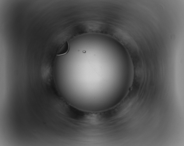 X0000093150079200710101143