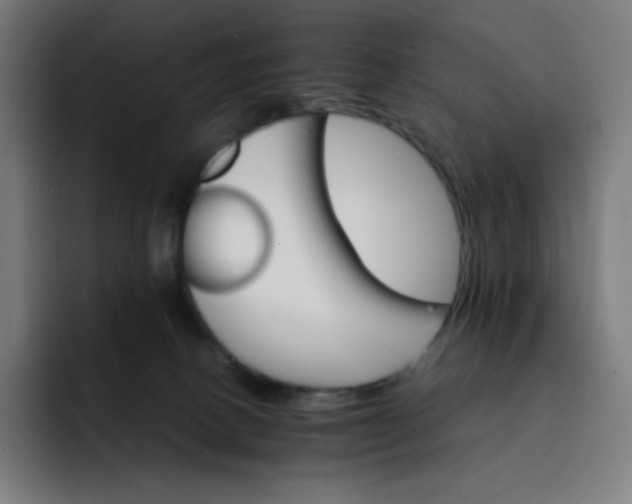 X0000093150082200710101143