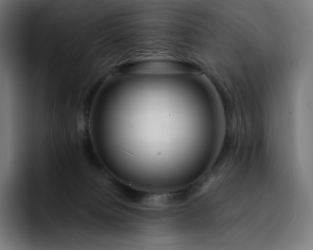 X0000093150084200710101143