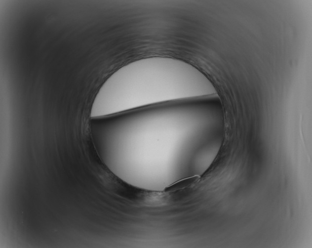 X0000093150096200710101144