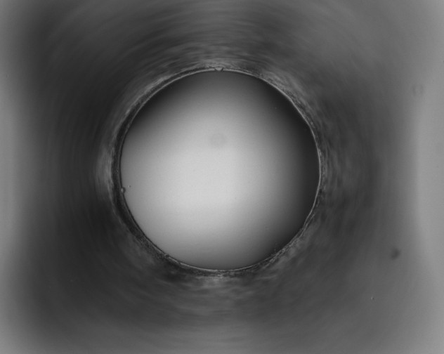 X0000093150098200710101143