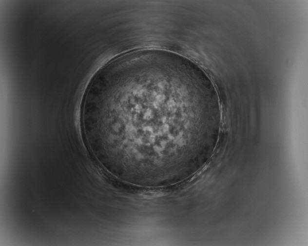 X0000093150099200710101143