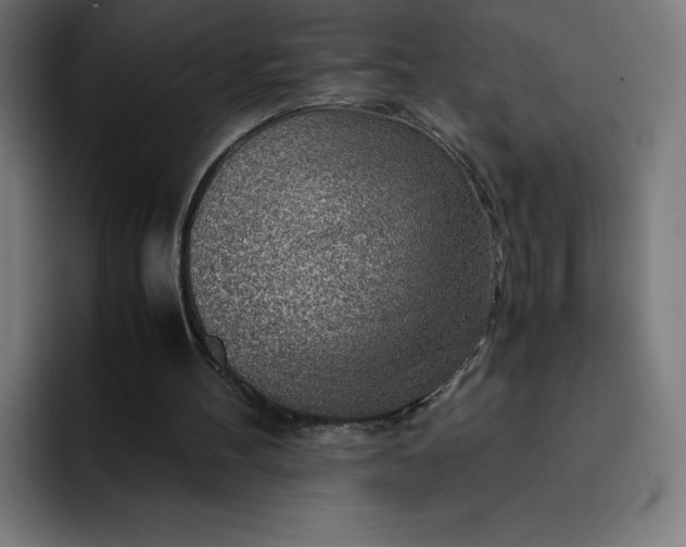 X0000093150100200710101143