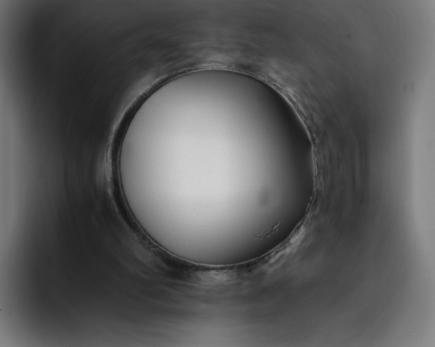 X0000093150102200710101143