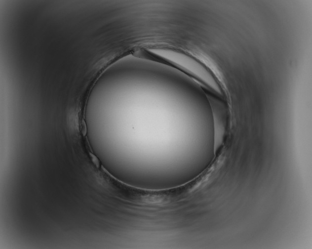 X0000093150105200710101143