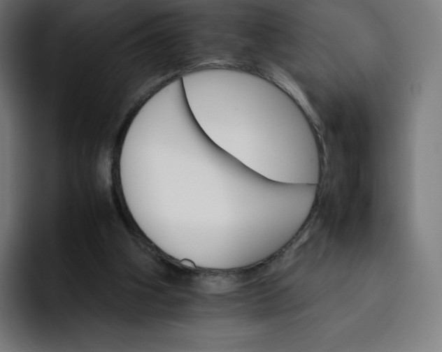 X0000093150106200710101143