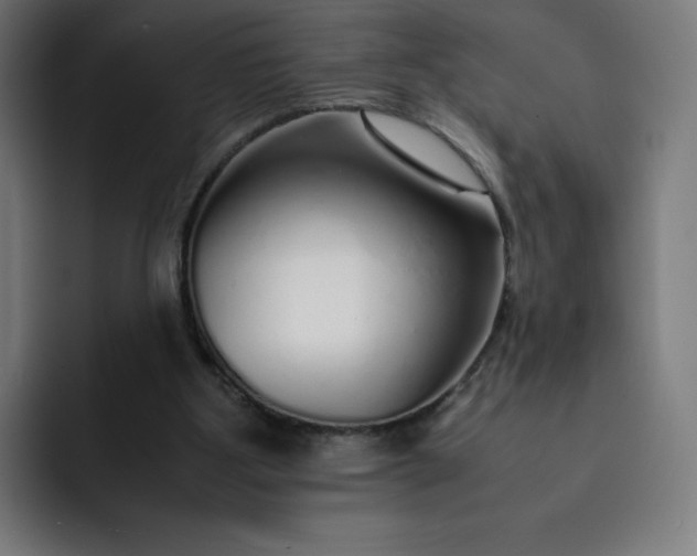 X0000093150107200710101143