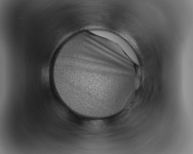 X0000093150108200710101143