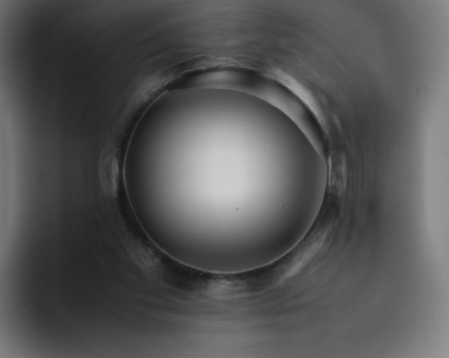 X0000093150109200710101143