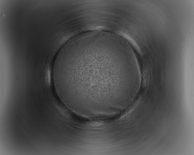 X0000093150110200710101143