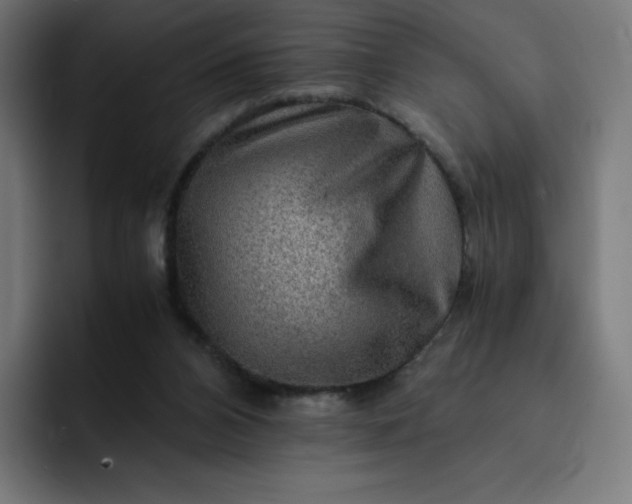 X0000093150112200710101143