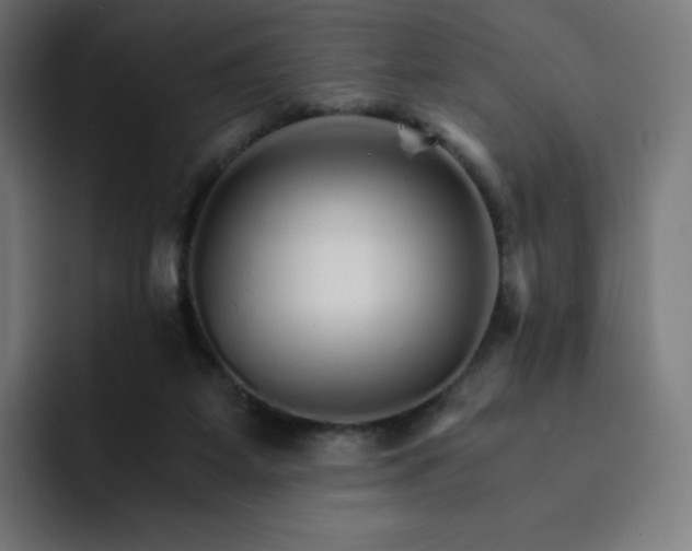 X0000093150115200710101143