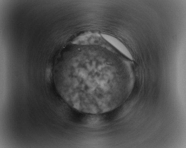 X0000093150127200710101143