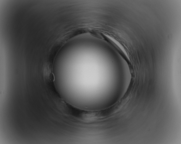 X0000093150129200710101143