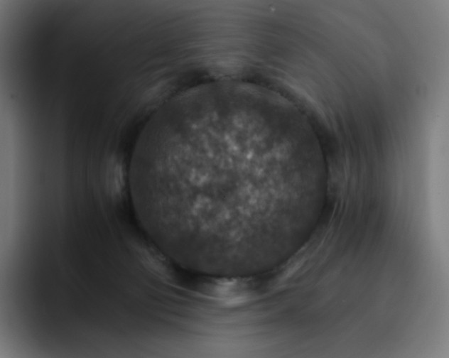 X0000093150130200710101143