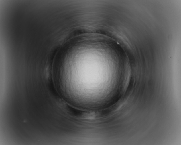 X0000093150131200710101143