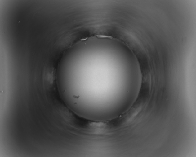 X0000093150133200710101143