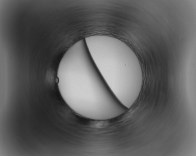 X0000093150135200710101143