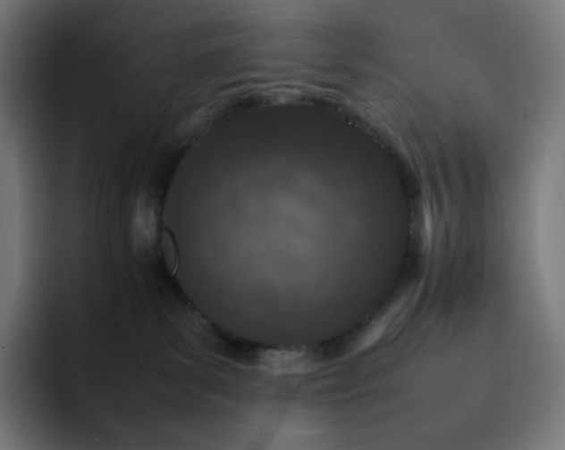 X0000093150139200710101142