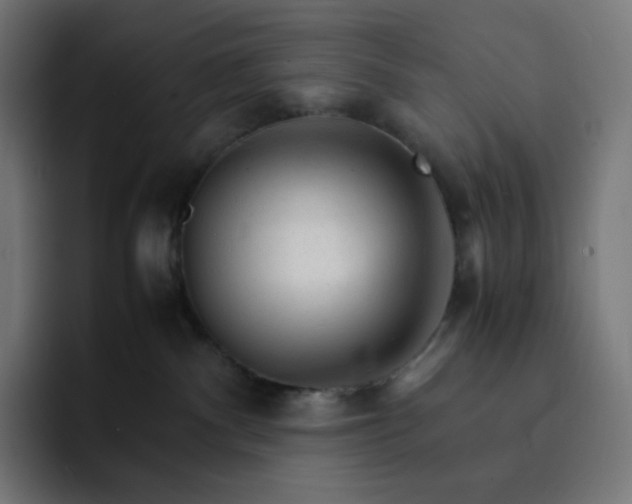 X0000093150140200710101142