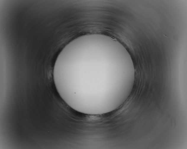 X0000093150141200710101142