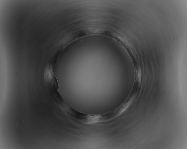 X0000093150143200710101142