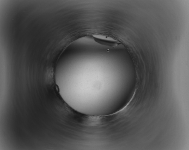 X0000093150144200710101142