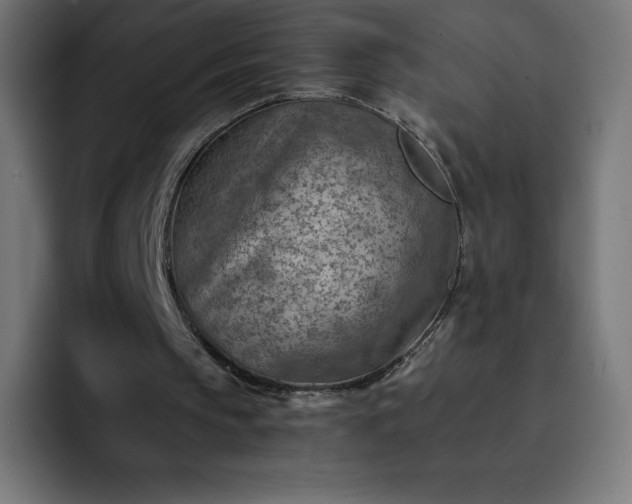 X0000093150145200710101142