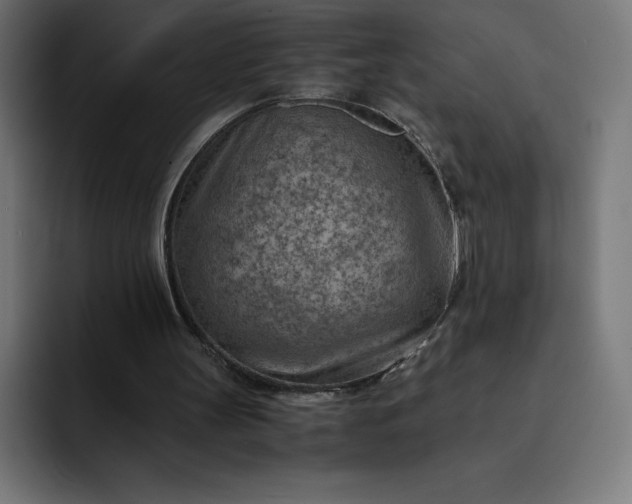 X0000093150147200710101142