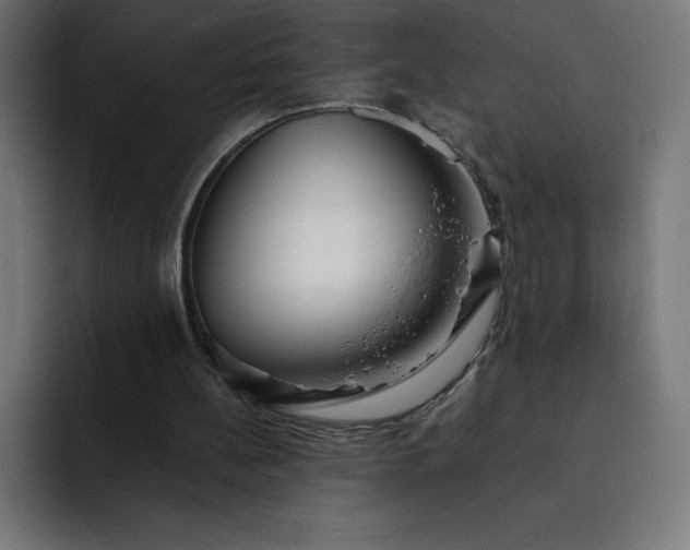 X0000093150148200710101142