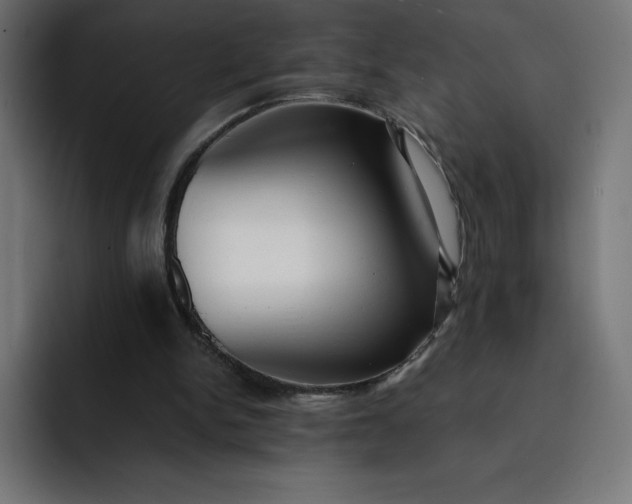 X0000093150150200710101142