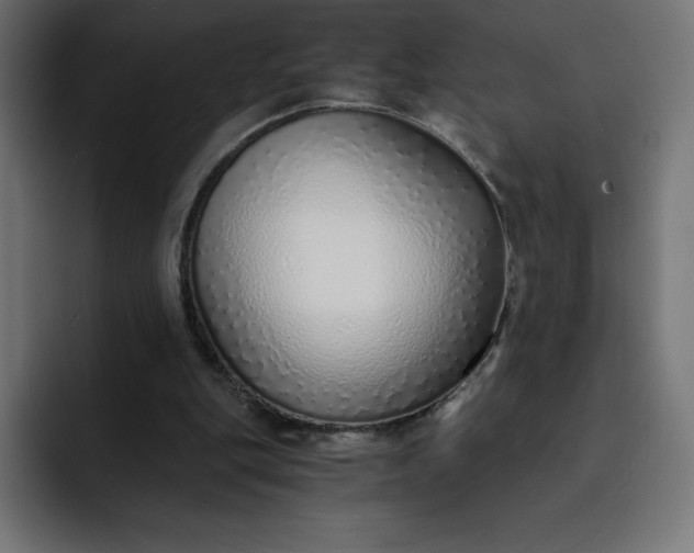 X0000093150151200710101142