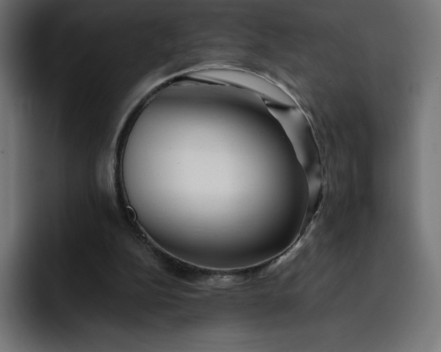 X0000093150152200710101142